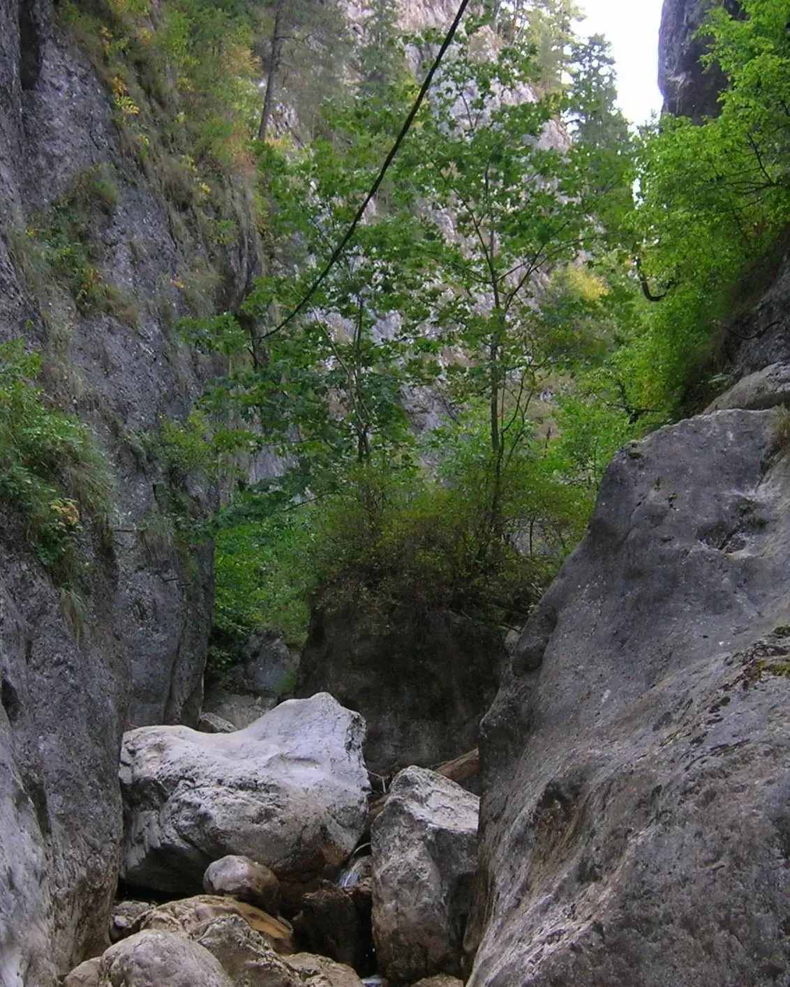 The Șugău stream running between boulders and the walls of the gorge