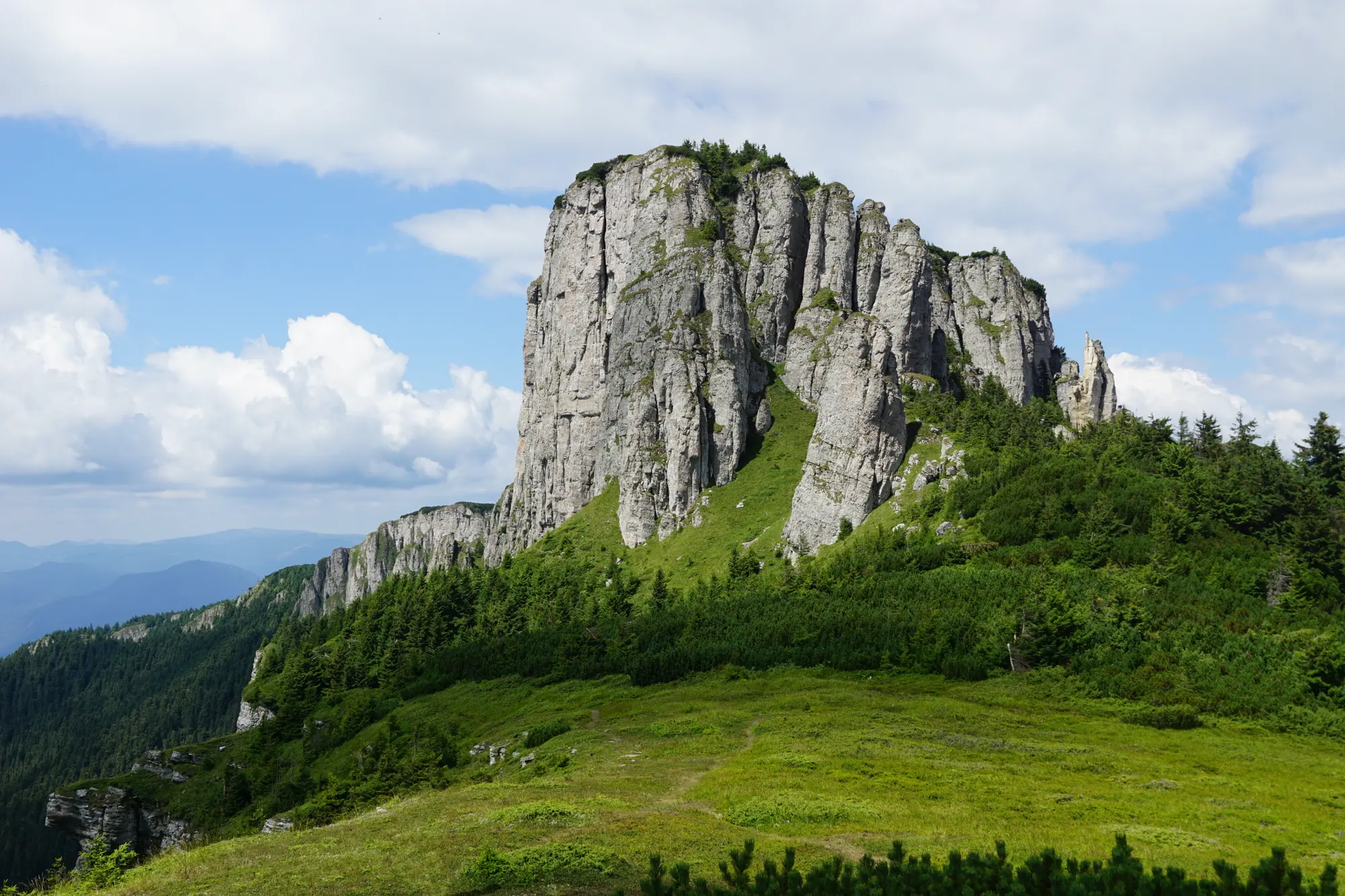 Ocolașul Mare peak, a rock wall above the meadow and the fir forest